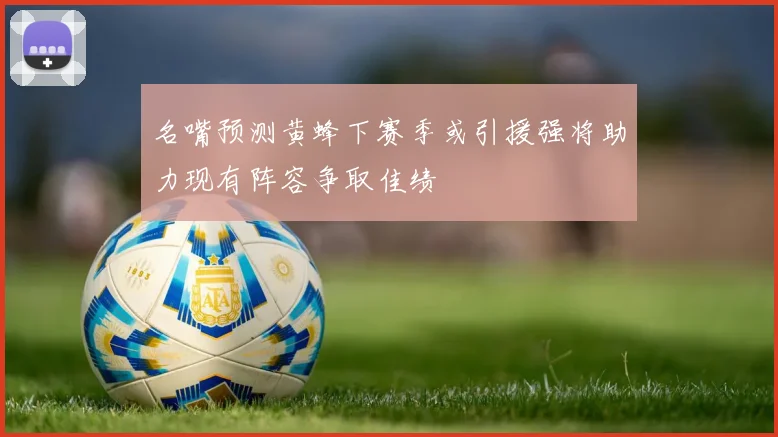 名嘴预测黄蜂下赛季或引援强将助力现有阵容争取佳绩
