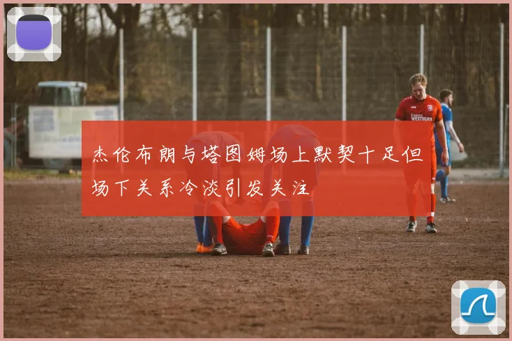 杰伦布朗与塔图姆场上默契十足但场下关系冷淡引发关注
