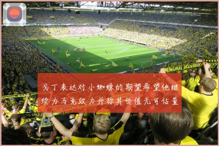 戈丁表达对小蜘蛛的期望希望他继续为马竞效力并称其价值无可估量