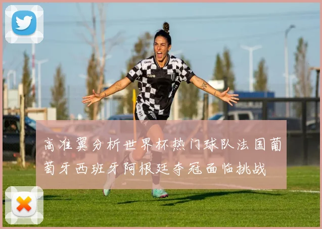 高准翼分析世界杯热门球队法国葡萄牙西班牙阿根廷夺冠面临挑战